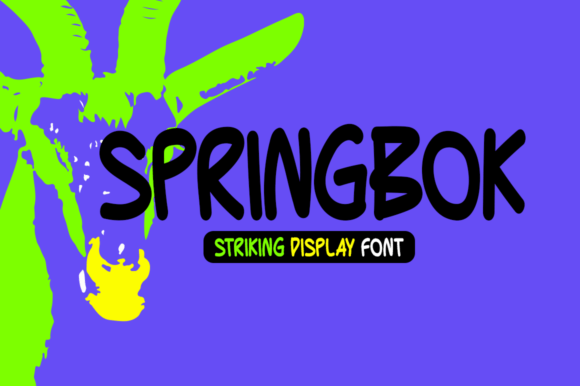 Springbok: A Bold Display Font for Scroll-Stopping Marketing